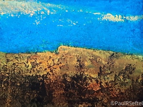 Mountain Wildflowers