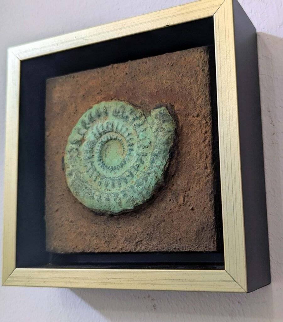 Gems and Flowers . Signed Floral Field Art Print